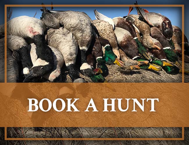Book a Hunt with Banded Gandr Outfitters