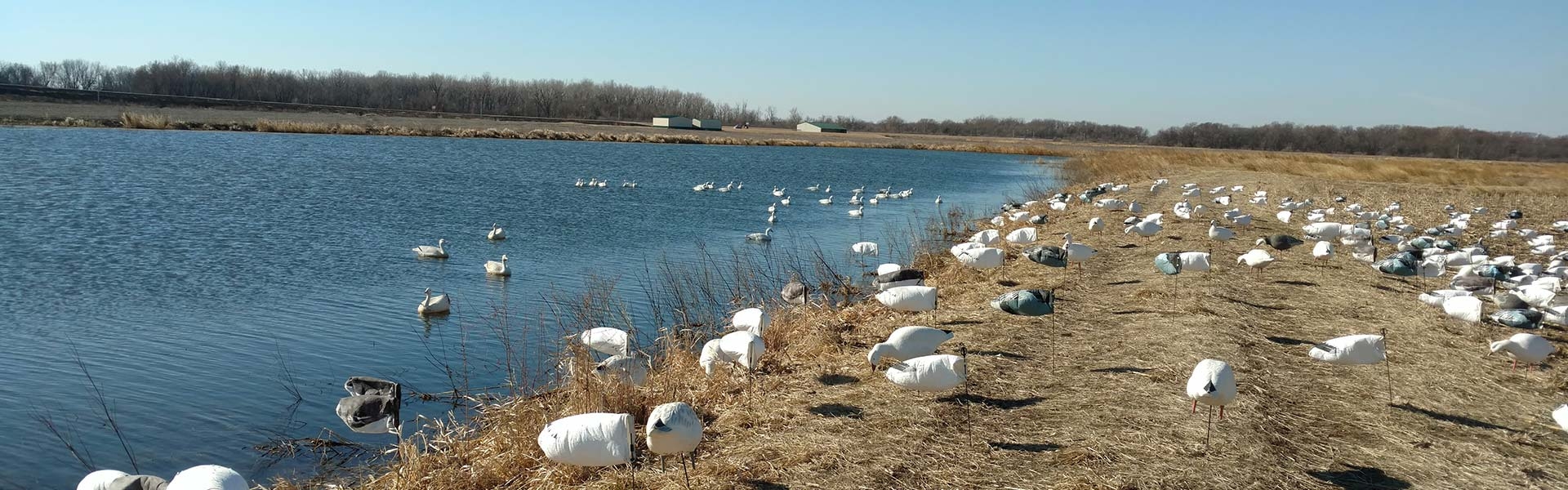 Missouri Pit - Flooded Field Duck and Goose Fall Hunts